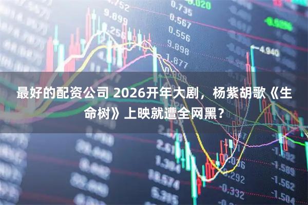 最好的配资公司 2026开年大剧，杨紫胡歌《生命树》上映就遭全网黑？